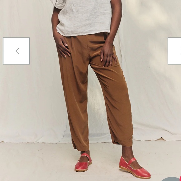 Elizabeth Suzann Any Trouser in silk crepe, rust color - Picture 3 of 7